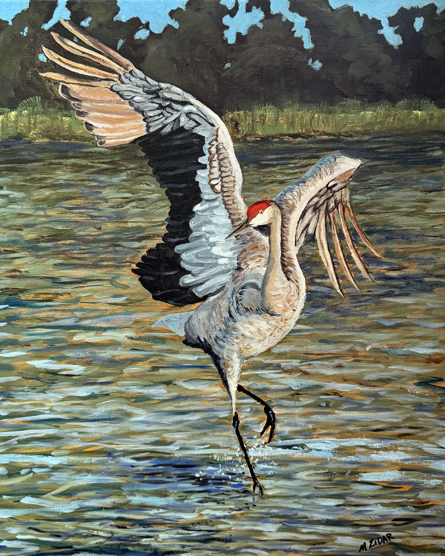 Avian and Critters