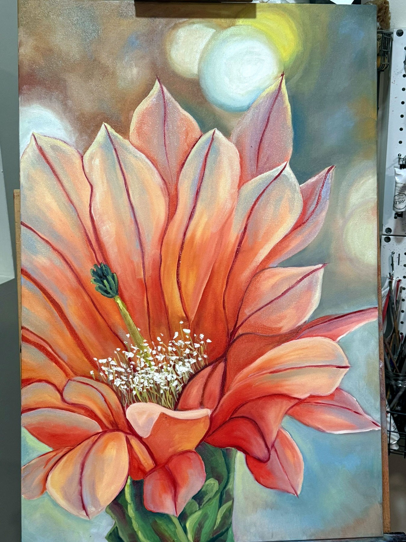 Desert Bloom in Orange