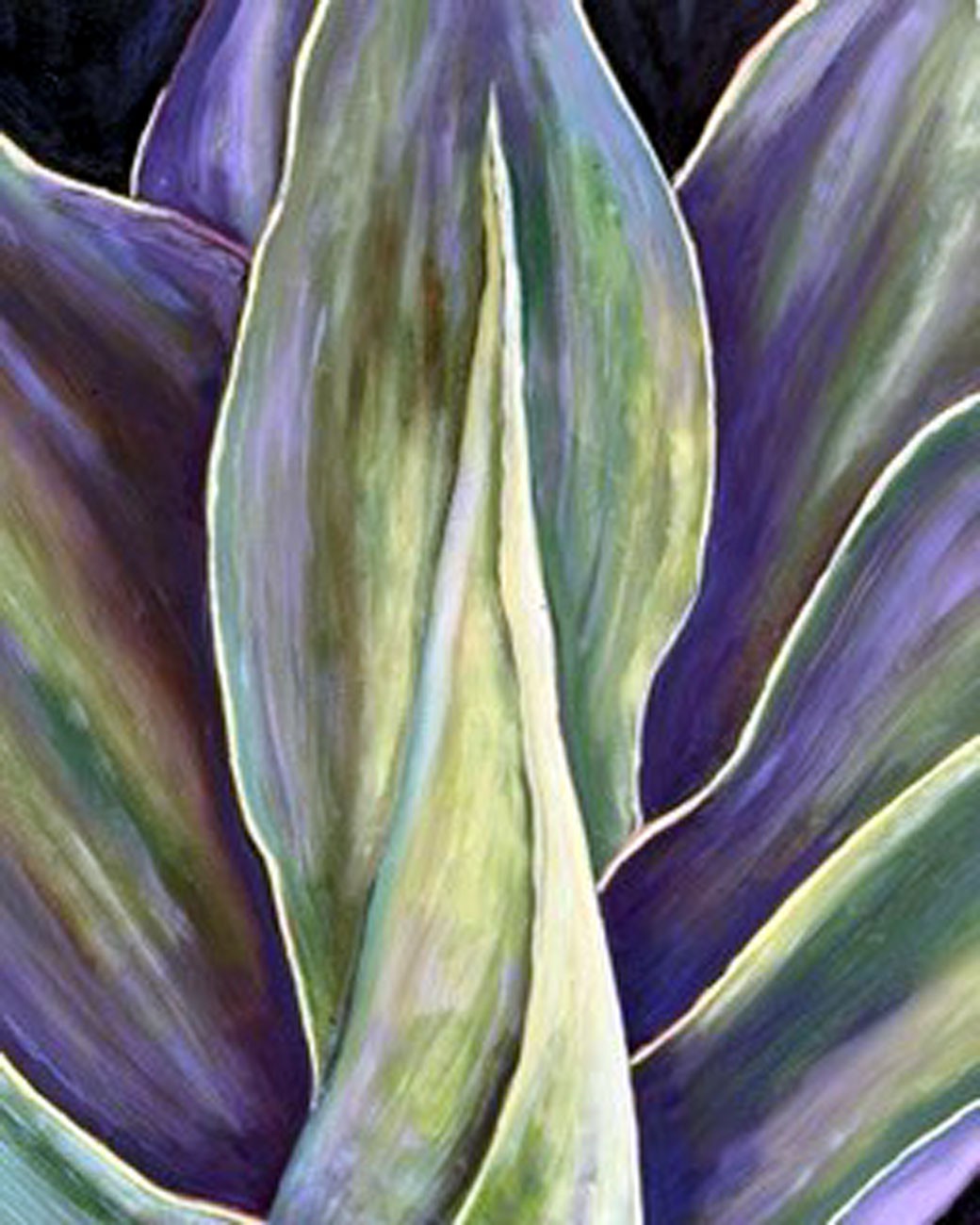 Succulant in Green & Purple