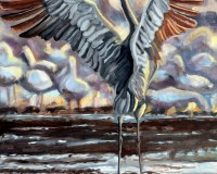 Sand Hill Crane Dance