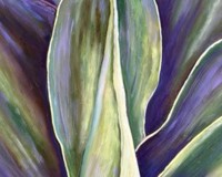 Succulant in Green & Purple