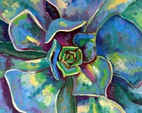 Vibrant Succulent