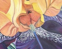 Firestorm Iris Giclee
